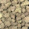 Wholesale 12 AAAA+ PURPLE HAZE MEDIUMS BY GREEN VALLEY