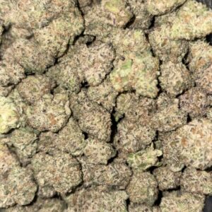AAAA+ PURPLE HAZE MEDIUMS BY GREEN VALLEY