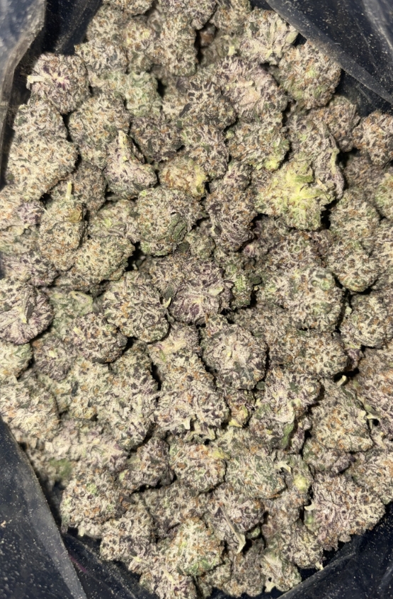 AAAA+ PURPLE SPACE COOKIES MEDIUMS BY GREEN VALLEY 1 AAAA+ PURPLE SPACE COOKIES MEDIUMS BY GREEN VALLEY
