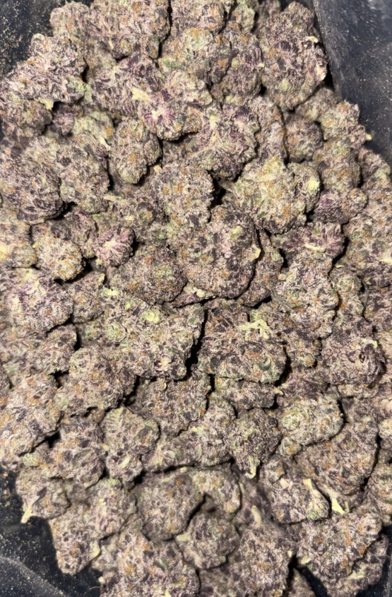 AAAA+ TROPIC THUNDER MEDIUMS BY EXO FUEL 1 AAAA+ TROPIC THUNDER MEDIUMS BY EXO FUEL