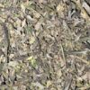 Wholesale 12 AAAA TUNA KUSH SHAKE