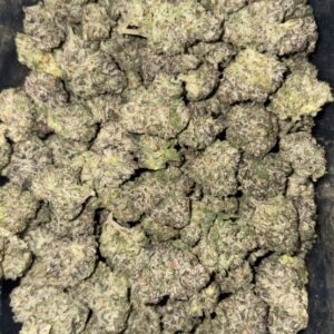AAAA+ DIESEL BISCOTTI MEDIUMS BY EXO FUEL
