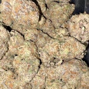 AAAA GALACTIC GRAPE