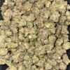 Wholesale 7 AAAA+ PHANTOM GELATO MEDIUMS BY EXO FUEL