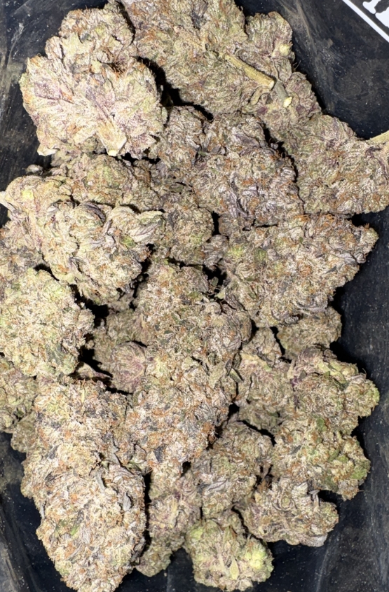 AAAA+ PINK TUNA BY GAS CARTEL 1 AAAA+ PINK TUNA BY GAS CARTEL