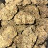 Wholesale 49 AAA GELONADE