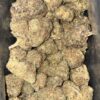 Wholesale 48 AAA OREO BLIZZARD