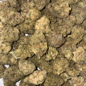 AAA PURPLE GELATO