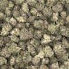 Wholesale 50 AAAA AMNESIA MAC GANJA SMALLS