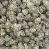 Wholesale 53 AAAA+ ASTRO BERRY MEDIUMS BY FUTURA FARMS