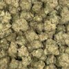 Wholesale 47 AAAA DUTCH DRAGON KUSH MEDIUMS