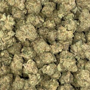 AAAA DUTCH DRAGON KUSH MEDIUMS