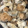 Wholesale 43 AAAA+ GOLIATH MAGIC MUSHROOMS BY TRIPPY TUESDAYS