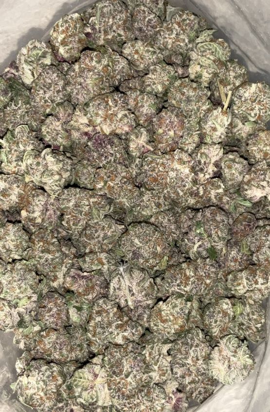 AAAA+ GRAPE SLURPEE MEDIUMS 1 AAAA+ Grape Slurpee Mediums sativa cannabis flower