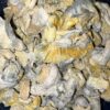 Wholesale 61 AAAA+ ICE BERG MAGIC MUSHROOMS BY TRIPPY TUESDAYS