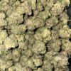 Wholesale 52 AAAA+ TOMB RAIDER SMALLS BY GREEN VALLEY