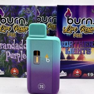 Burn 2G live resin disposable vape pen