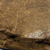 Wholesale 54 JOKERZ HASH