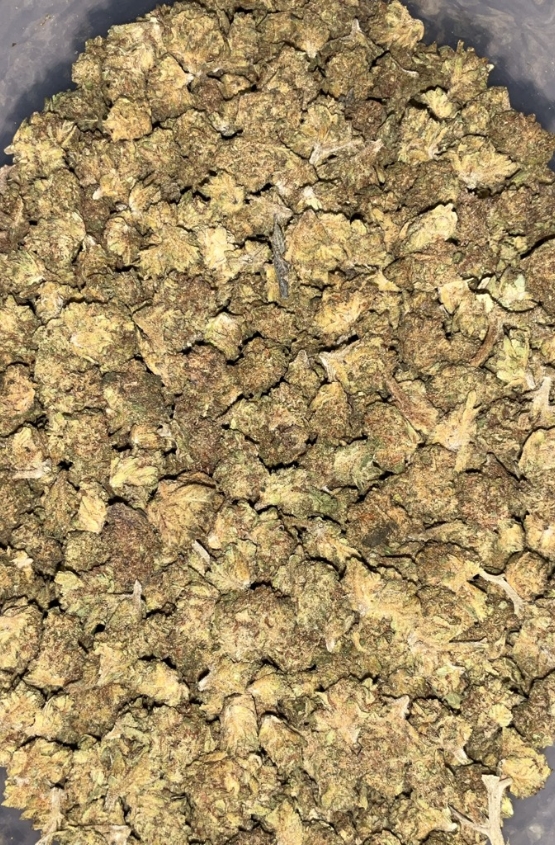 AA INFERNO SMALLS 1 AA Inferno Smalls budget cannabis flower