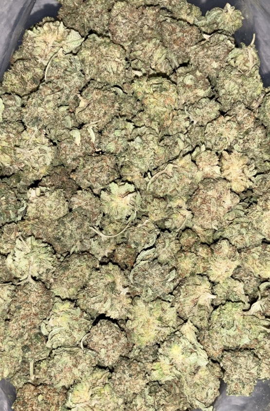 AAA+ ROCK TUNA GAS SMALLS 1 AAA+ Rock Tuna Gas Smalls cannabis flower
