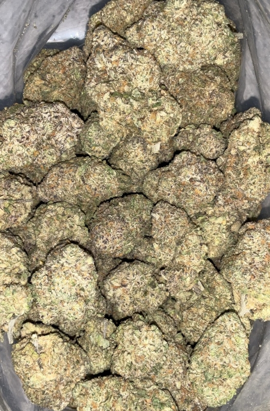 AAAA+ BLUEBERRY SHERBERT BY GREEN VALLEY 1 AAAA+ Blueberry Sherbert by Green Valley hybrid cannabis flower