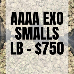 AAAA EXO SMALLS LB - $750