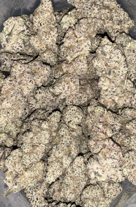AAAA+ FRENCH ALOHA BY GREEN VALLEY 1 AAAA+ French Aloha by Green Valley sativa cannabis flower