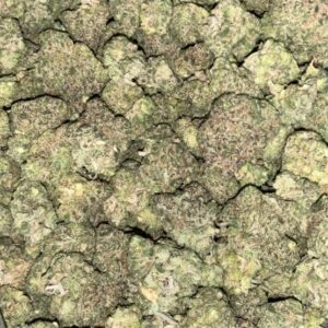 AAAA+ Fruity Punch Mediums sativa cannabis flower