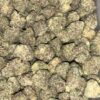 Wholesale 42 AAAA Gelato Runtz Exo Mediums hybrid cannabis flower