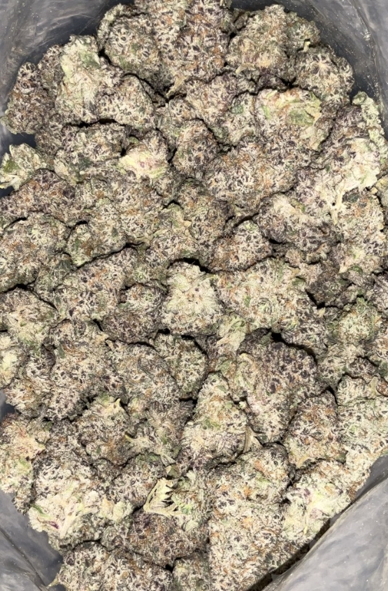 AAAA+ KING JUICE MEDIUMS BY EXO FUEL 1 AAAA+ King Juice Mediums by Exo Fuel hybrid cannabis flower