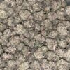 Wholesale 44 AAAA+ Star Berry Mediums by Futura Farms indica cannabis flower